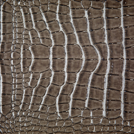 upholstery leather pattern background/luxury