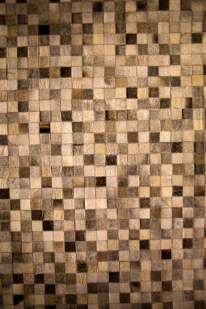 leather Carpetの写真素材