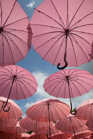 pink umbrella and the blue skyの写真素材