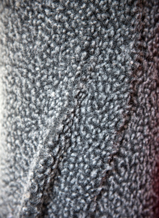 fur close up/animal fur close up