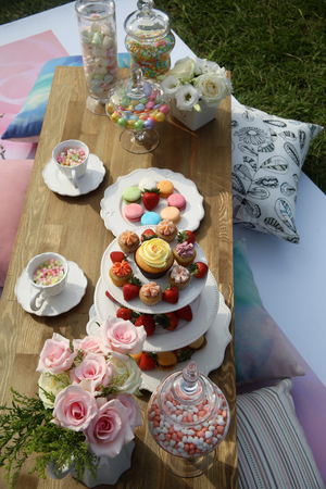 picnic sceneの写真素材