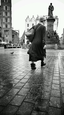 The historic city. The old town, view of the monument of Adam Mickiewicz. Krakow, Poland.の素材