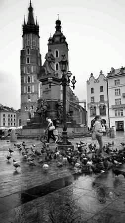 The historic city. The old town, view of the monument of Adam Mickiewicz. Krakow, Poland.の素材