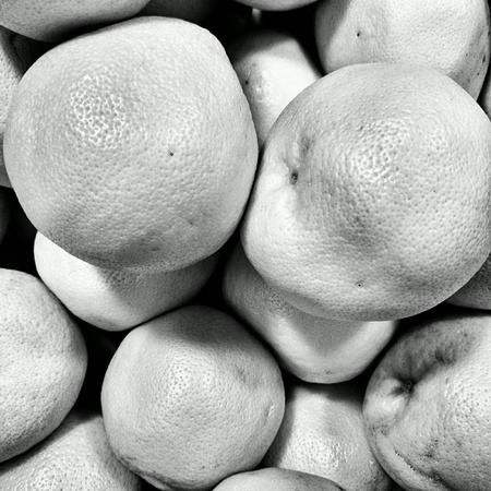 Grapefruits fruit ingredient human diet.の素材