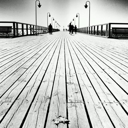 Lonely leaf on the pier,  Gdynia Orlowo, Poland.の素材