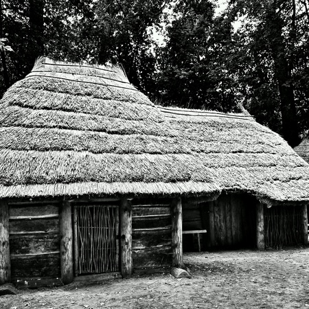 Settlement prehistoric reconstruction Pre-Slavian buildings in Biskupin, Poland.の素材