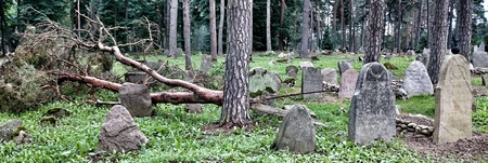 Polish Tatars cemetery in Kruszyniany, Poland.