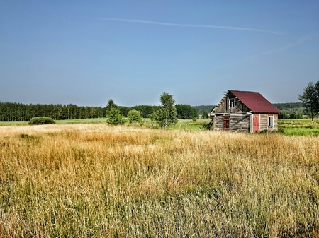 Polish village. Agricultural landscape in Wierzchlesie, Podlasie province, Poland.の素材