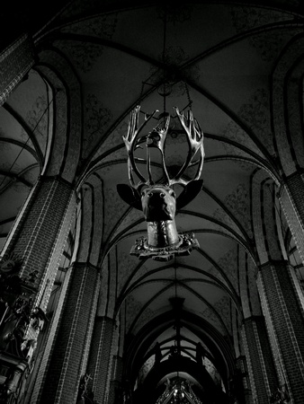 Church of the Assumption of the Blessed Virgin Mary in Chelmno.の素材
