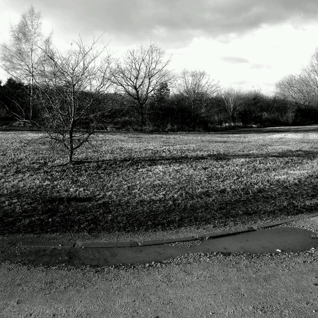 Outdoor park in black and white.