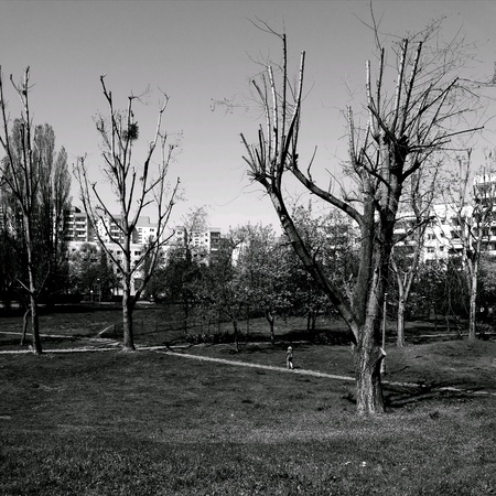 Outdoor park in Gdansk, Poland.の素材