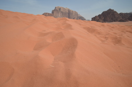 The duneの写真素材