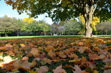 Canada fall