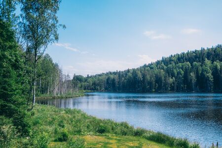 Beautiful lake with scenic forest on bright sunny summer dayの写真素材