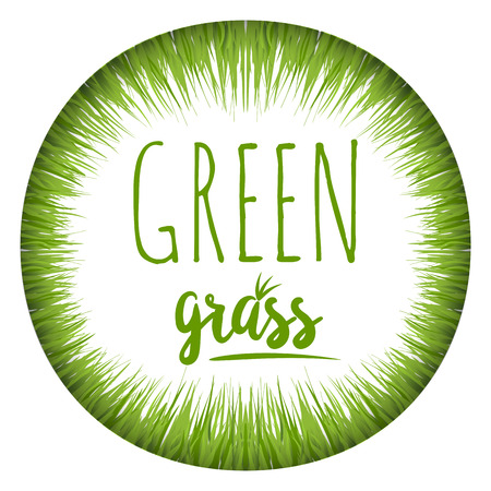 Set realistic green grass lawn isolated on white. Floral eco nature background. Organic food, healthy food. Web vector illustration.のイラスト素材