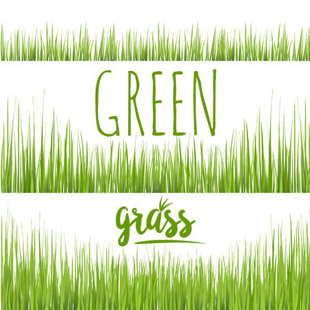 Set realistic green grass lawn isolated on white. Floral eco nature background. Organic food, healthy food. Web vector illustration.のイラスト素材