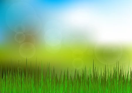 Green Grass and Blue Sky Background. Happy Summer Nature Illustration. Spring nature background with grass and blue sky in the backのイラスト素材
