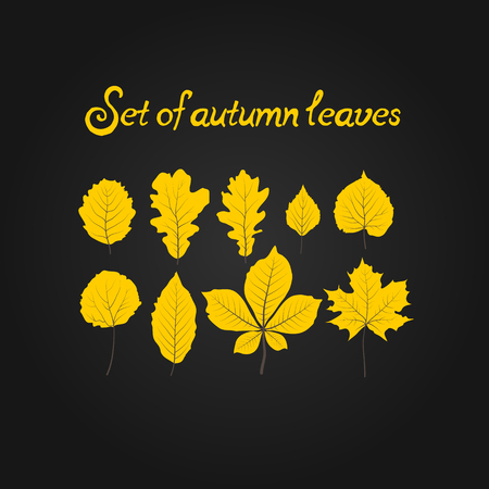Hello autumn. Hand drawn set different colored autumn leaves. Sketch, design elements in Doodle. Vector illustration.のイラスト素材