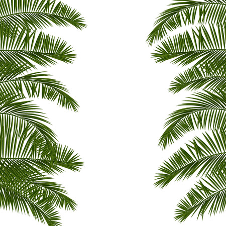 Hello Summer green palm leafのイラスト素材