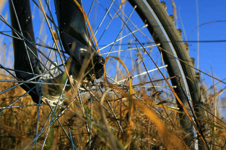Wheel of a sports bicycle on an autumn meadow against the blue sky