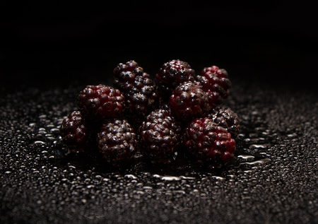 Black background of fresh mulberry.の写真素材