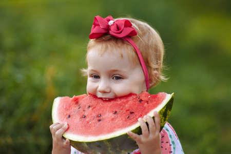 Little girl in a dress eats a watermelon at a picnic.の写真素材