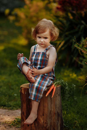 A little girl sits on a wooden stump with carrots.の写真素材