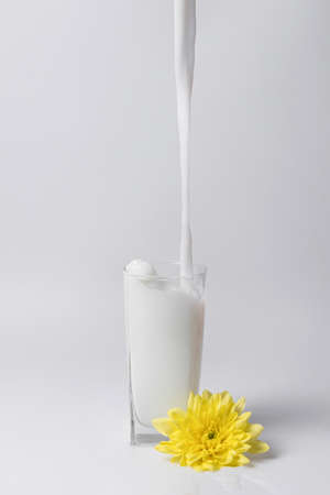 Splash of fresh milkの写真素材