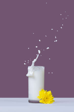 Splash of fresh milkの写真素材