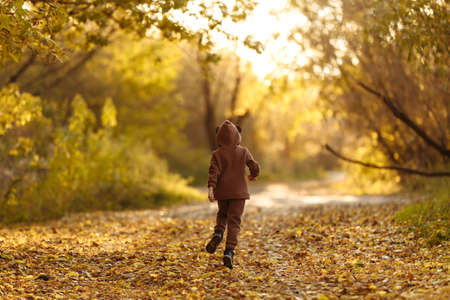 Girl with a maple leaf in her handsの写真素材