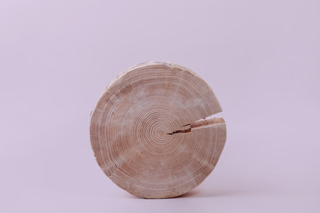 Round cut of a pine.の写真素材