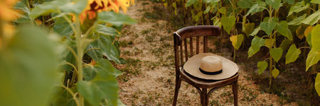 A straw hat lies on a wooden chair near a sunflower fieldの写真素材