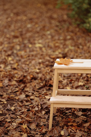 Autumnal park scene with empty wooden benchの写真素材