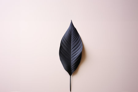 Black leaf against soft pink backgroundの素材