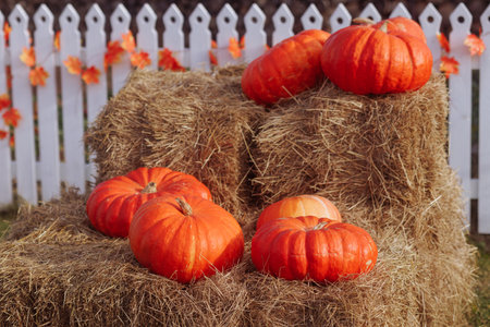 A large orange pumpkins lies on a bale of hay.の写真素材
