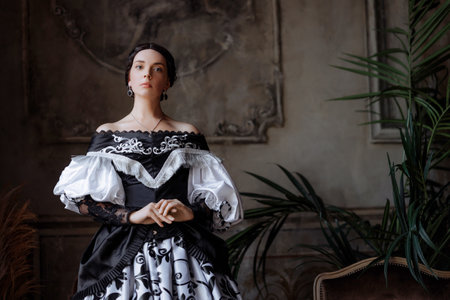 Elegant Baroque Lady in Lavish Lace Gownの写真素材