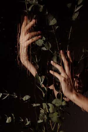 Close up of two hands holding a leafy green plant behind glass with water drops running down it.の写真素材