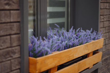 Wooden flowerpots with purple flowers outdoor on the window. Space for textの写真素材