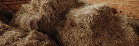 Hay bales stacked in old wooden barn on historic cattle ranchの写真素材