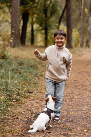 Asian Boy Playing with Dog in Autumn Forestの写真素材