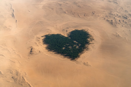 Aerial view of heart shaped tree in the middle of the desertの素材