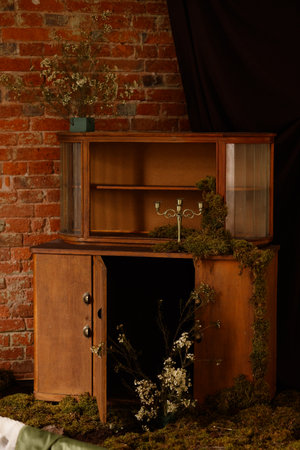 Wooden cabinet with glass doors and moss against brick wall