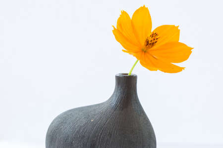 Beautiful flower in the vase are placed on the tableの写真素材