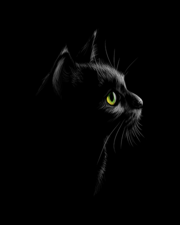 Portrait of a cat on a black backgroundのイラスト素材
