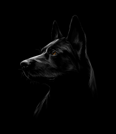 Portrait of a black shepherd dog on a black backgroundのイラスト素材