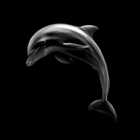 Dolphin on a black background, hand drawnのイラスト素材