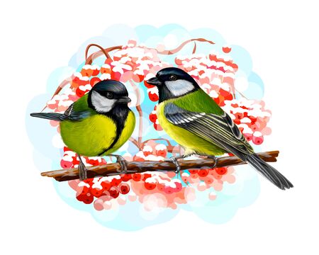 Tit birds sitting on a branch on white background, hand drawn sketch. Vector illustration of paintsのイラスト素材