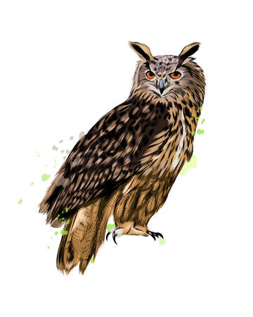 Long-eared Owl, Eagle owl from a splash of watercolor, colored drawing, realisticのイラスト素材