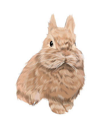 Hare, rabbit from multicolored paints. Splash of watercolor, colored drawing, realisticのイラスト素材
