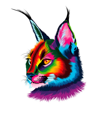 Caracal head portrait from multicolored paints. Splash of watercolor, colored drawing, realisticのイラスト素材